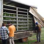 Borden Planting truck with plants