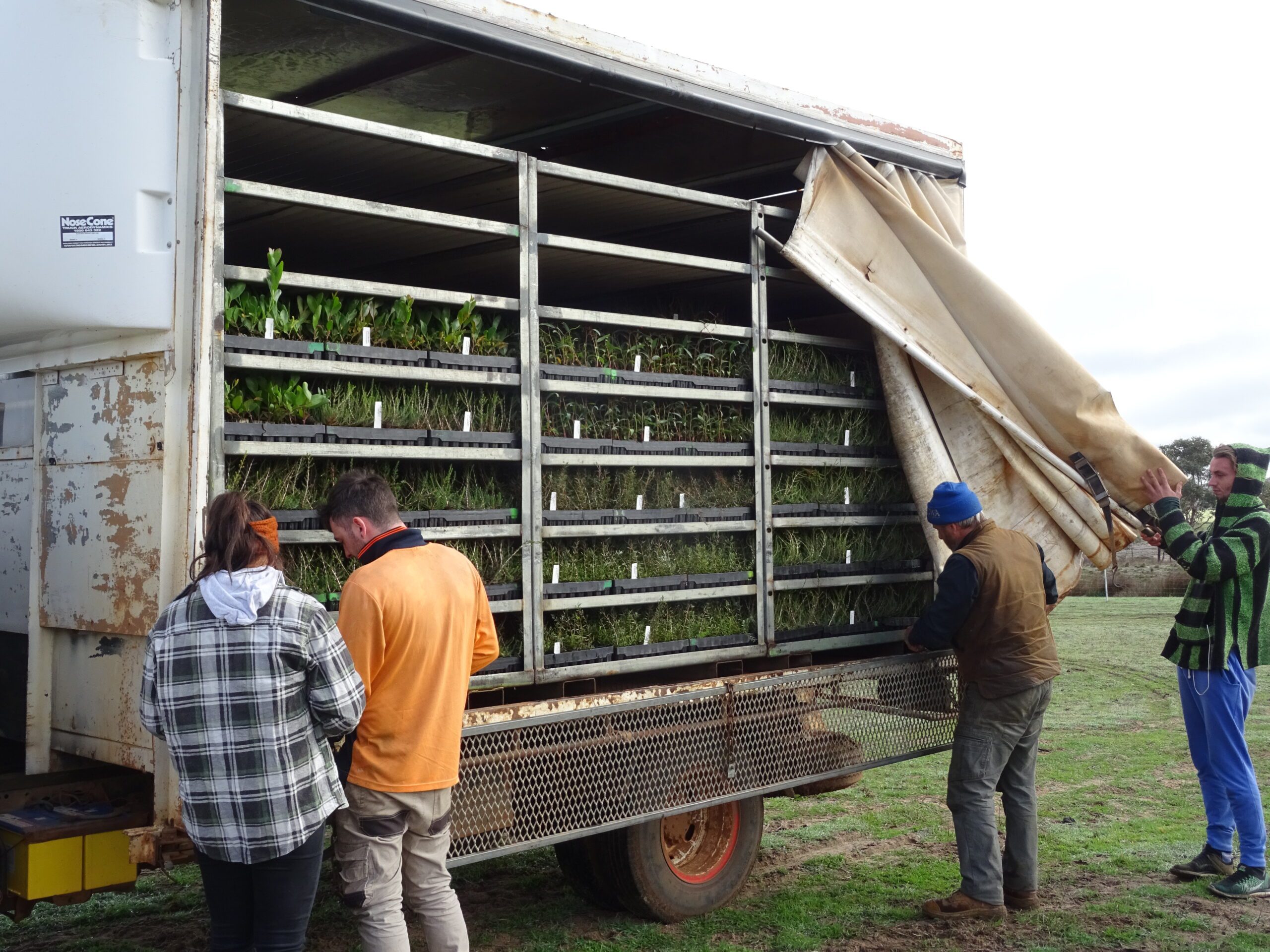 Borden Planting truck with plants