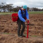 Borden Planting trees