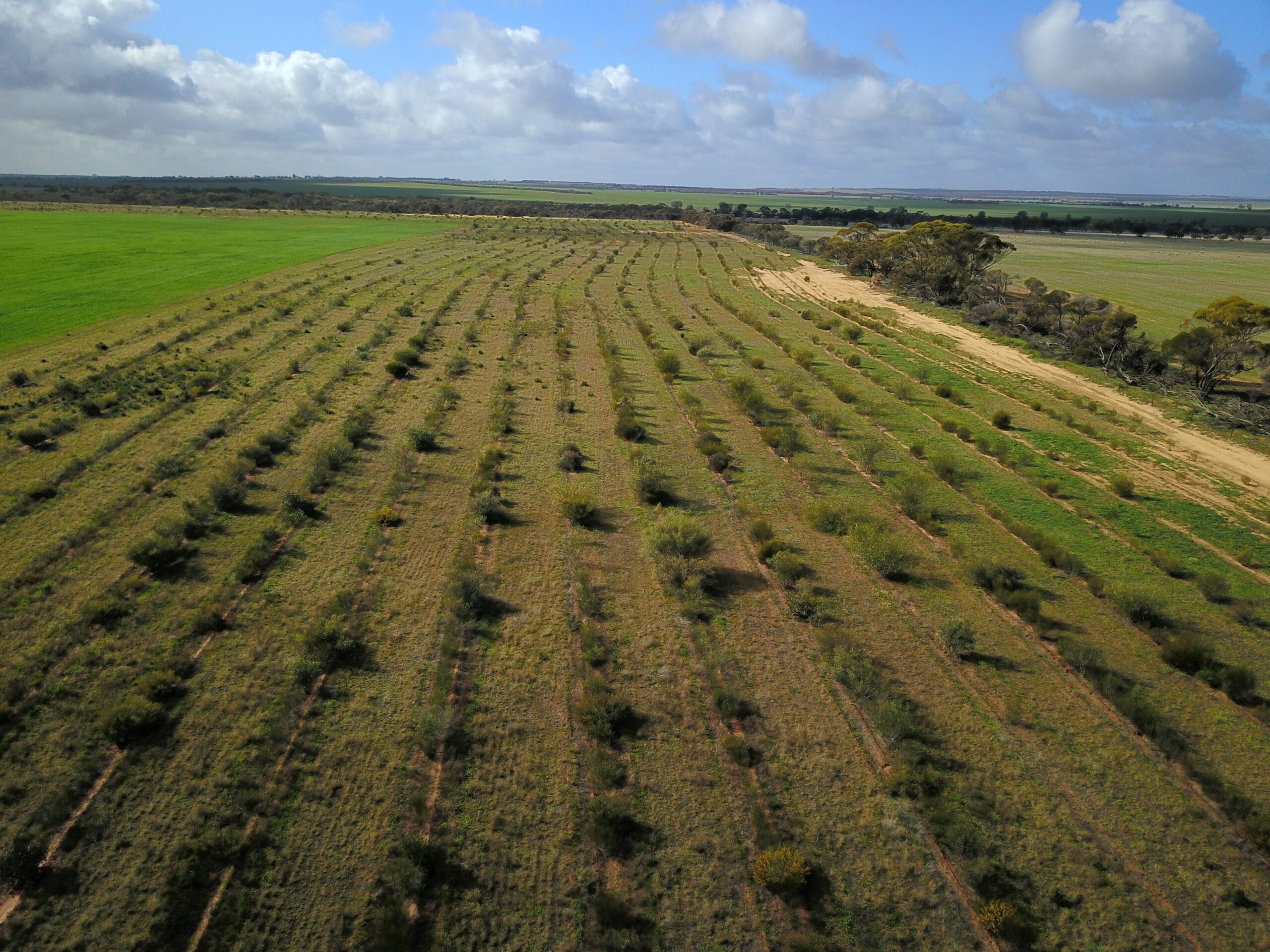 DJI_0254