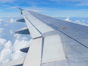 Flight Offsets
