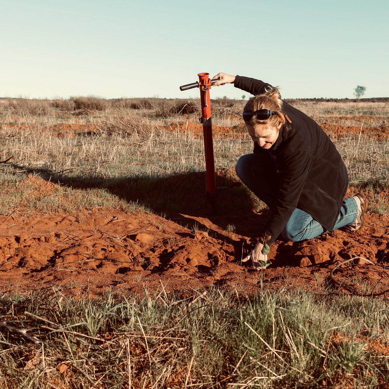 Eurardy Reserve woman planting