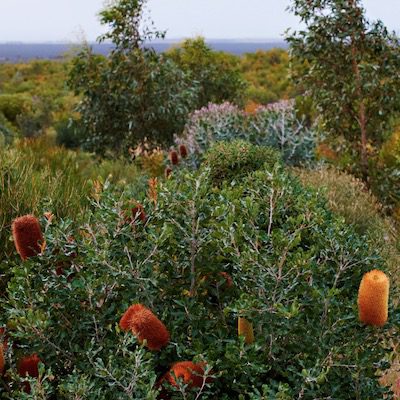 Yarraweyah Falls Project