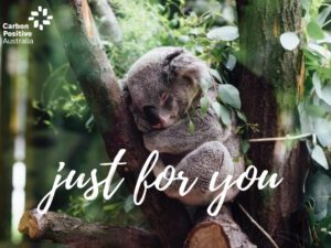 Just for You Koala eCard Gift Donation