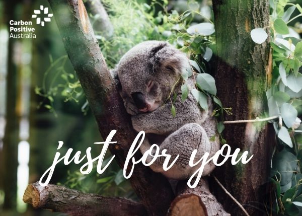 Just for You Koala eCard Gift Donation