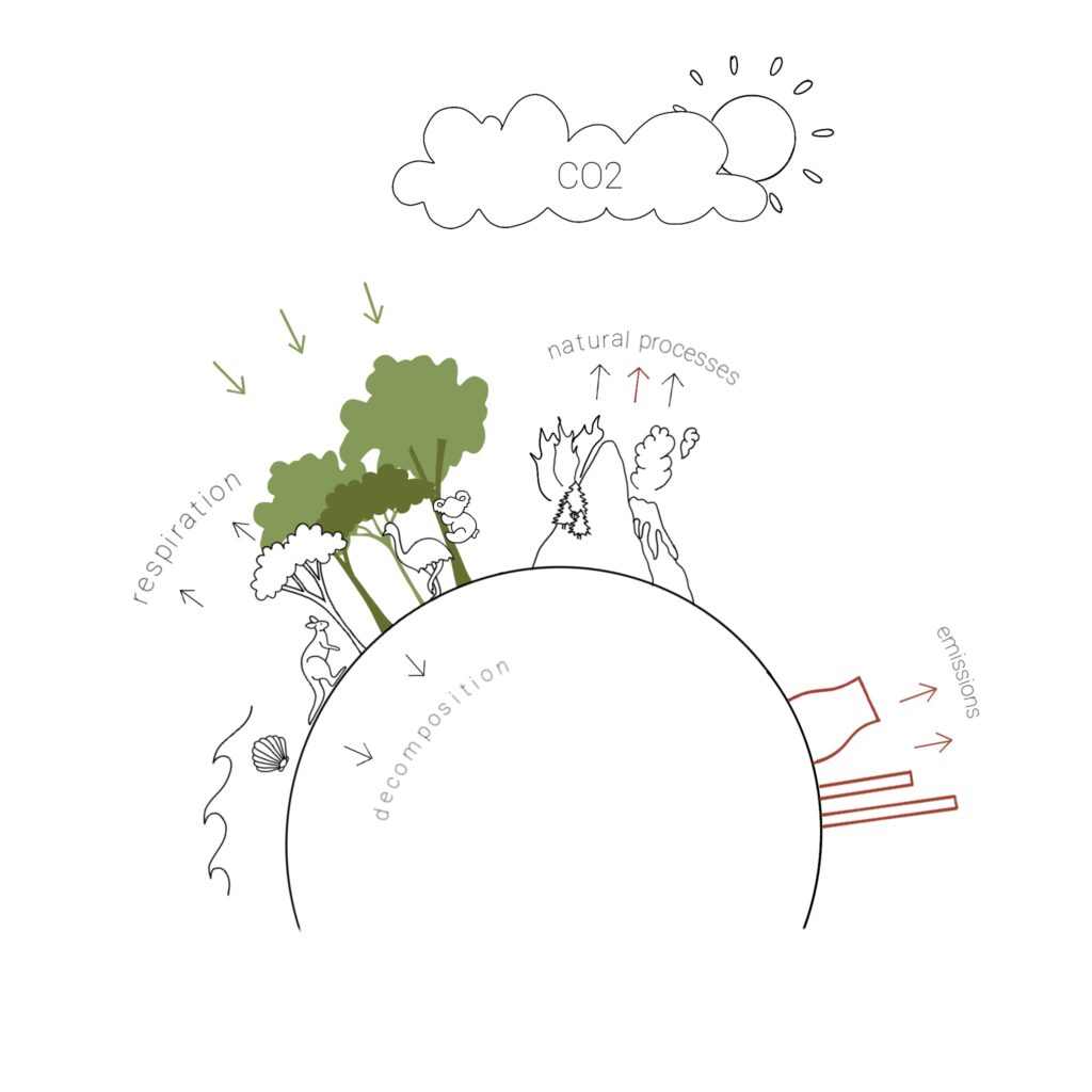 Carbon cycle offsetting diagram