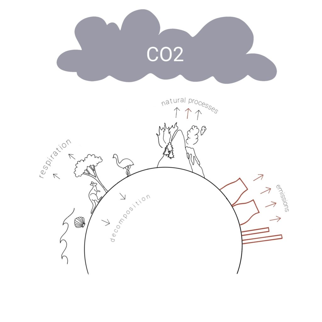Carbon cycle offsetting diagram 2