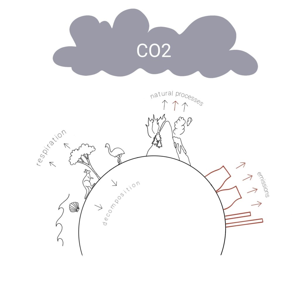 carbon cycle drawing in easy and simple steps | science drawing academy -  YouTube