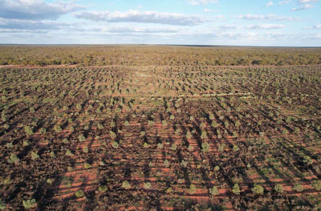 Carbon Positive Australia has been doing Nature Positive restoration projects for over two decades. Here is an example.