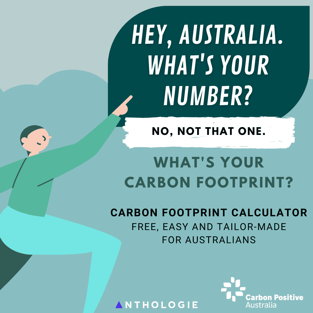 Social Media Image - Carbon Footprint Calculator Campaign