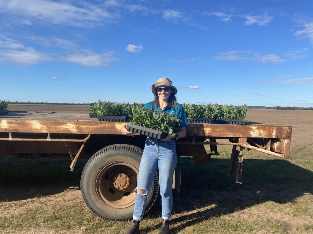 Carbon Positive Australia with donated seedlings