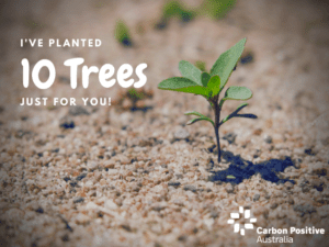 Plant Trees in Australia - Gift eCard - Great for Holidays