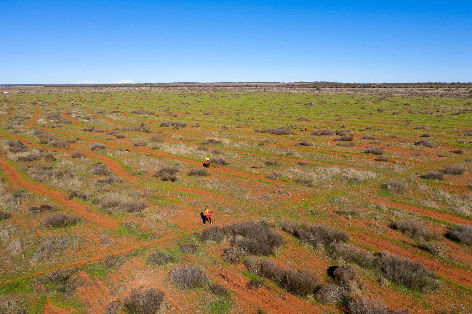Drone photo of planting site with four people visible.