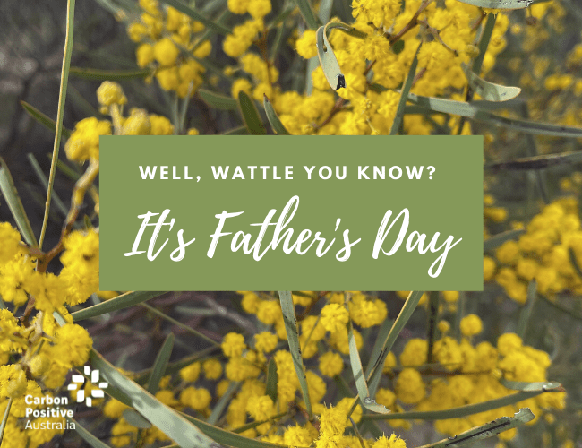 Father's Day - Wattle You Know Happy Father's Day - Wattle You Know