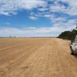 Photo of a sandy paddock with a white ute in the far right next to a tree line.