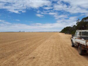 Photo of a sandy paddock with a white ute in the far right next to a tree line.