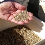 A man's hand holding a handful of mixed native seed mix over a full bucket of seeds