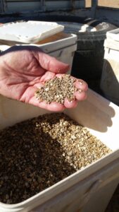 A man's hand holding a handful of mixed native seed mix over a full bucket of seeds