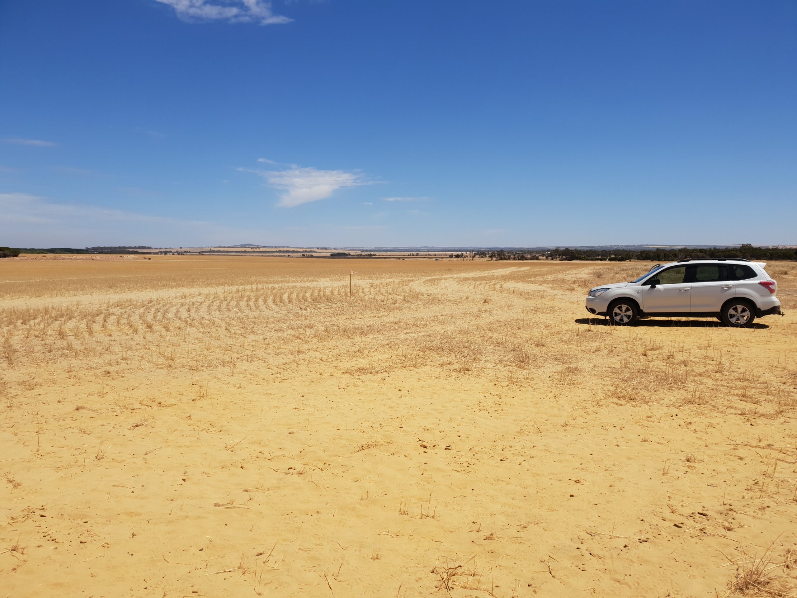 Bare paddock with yellow sand and 4x4 vehicle parked on the right hand side.