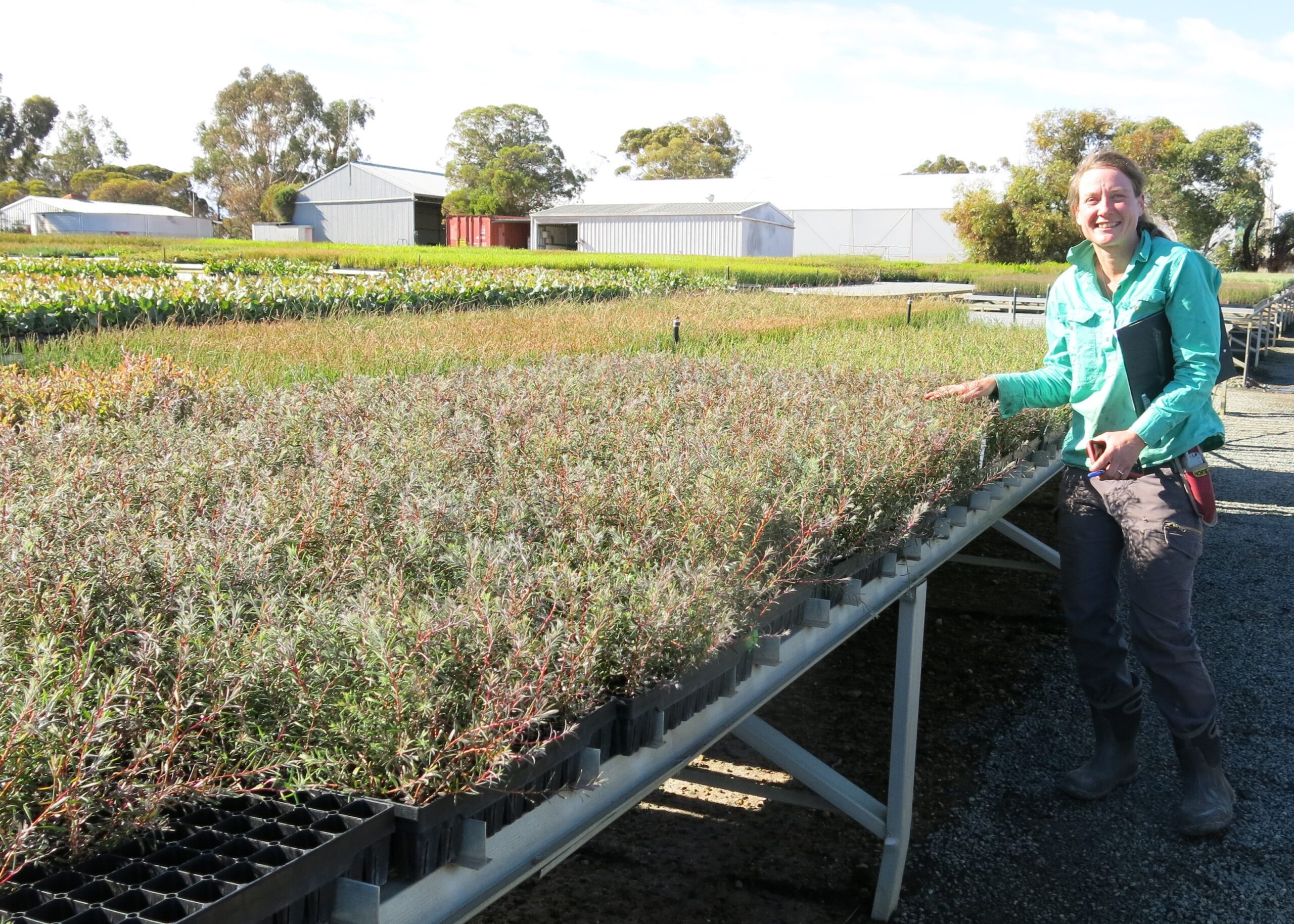 Lady in blue jacket standing next to trays of native seedlings.