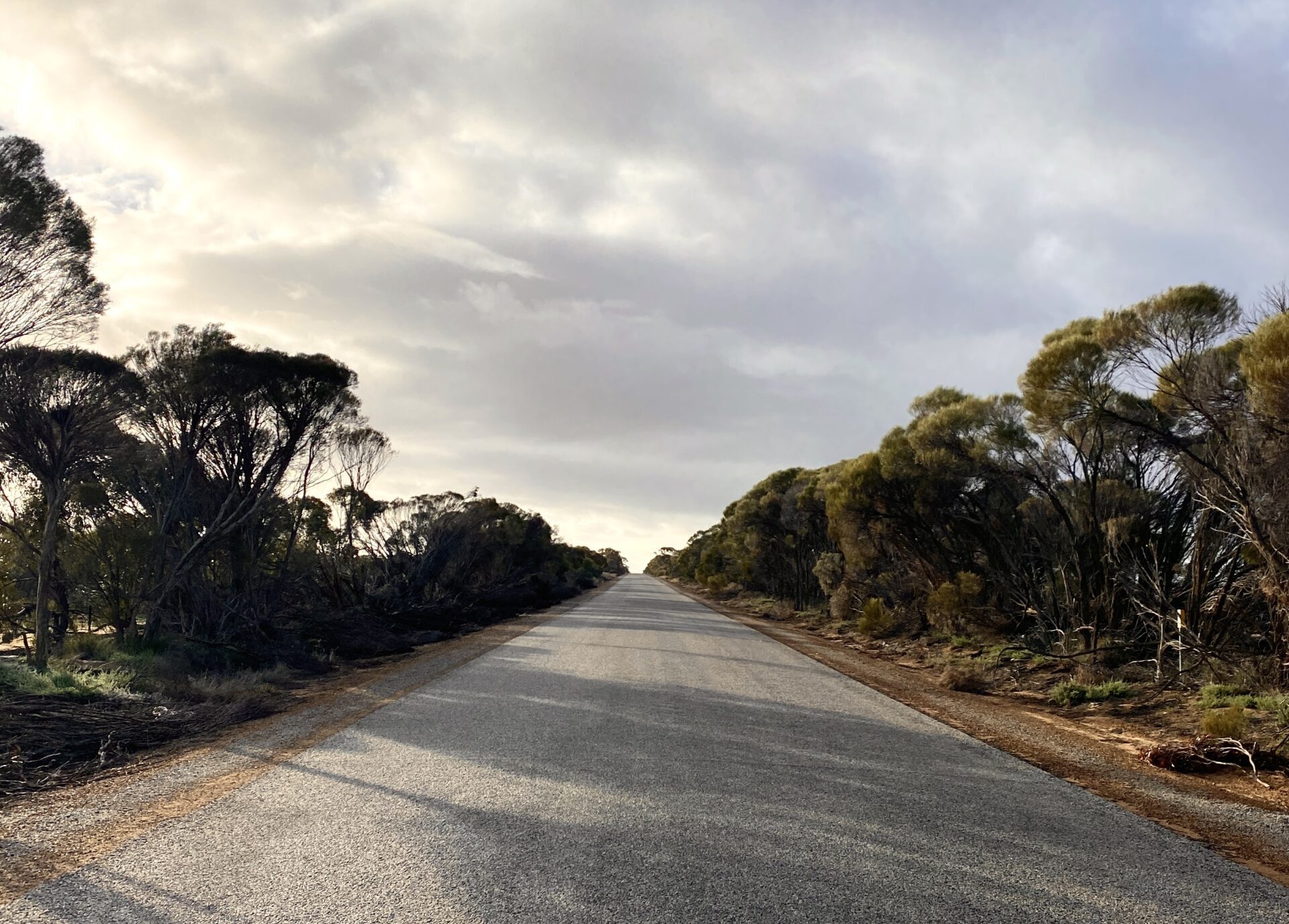 Bitumen road leading towards the horizon with native Australian bush on either side