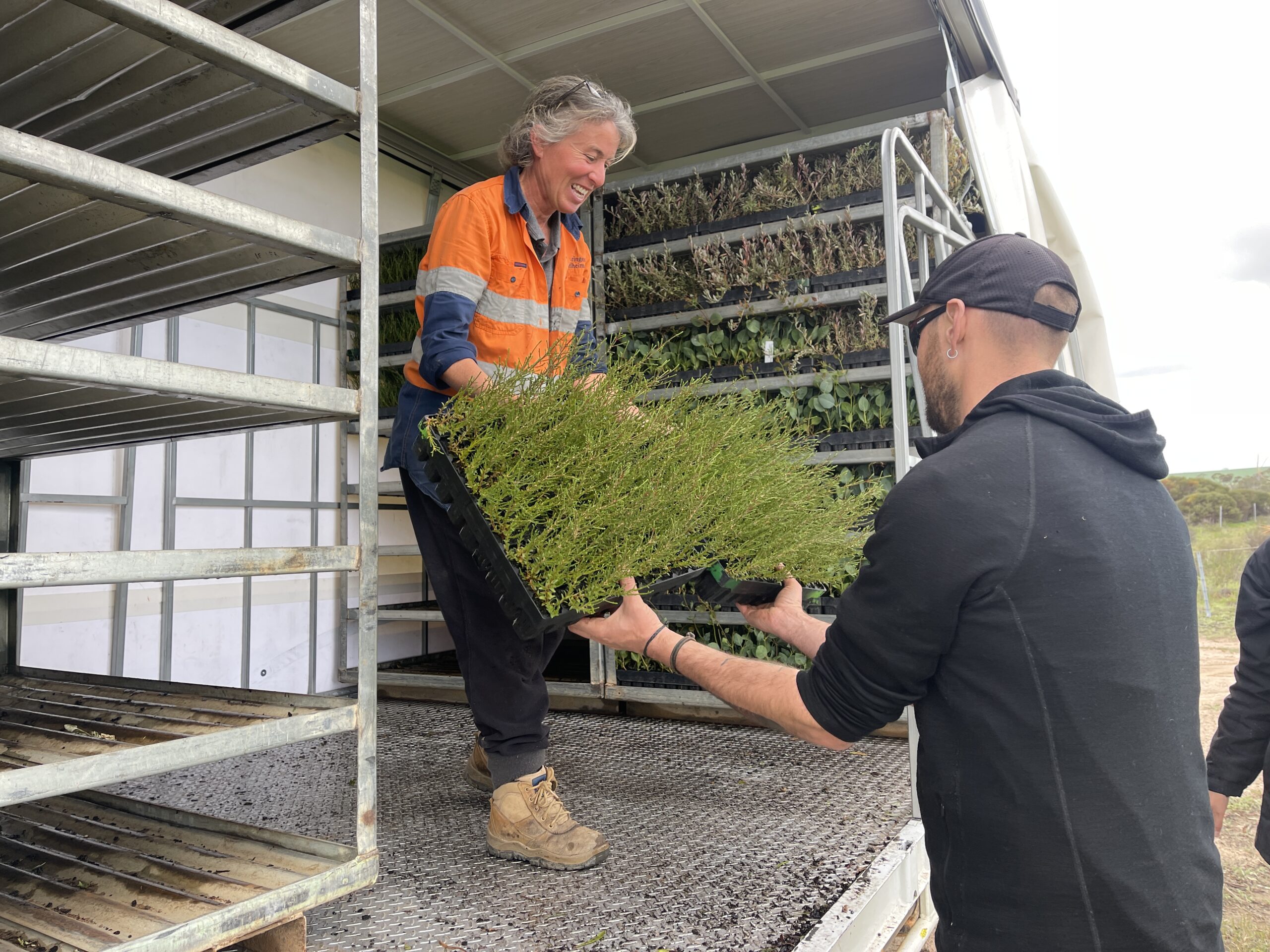 Lady in orange high-vis and man with black jumper and hat holding seedlings about to be planted.