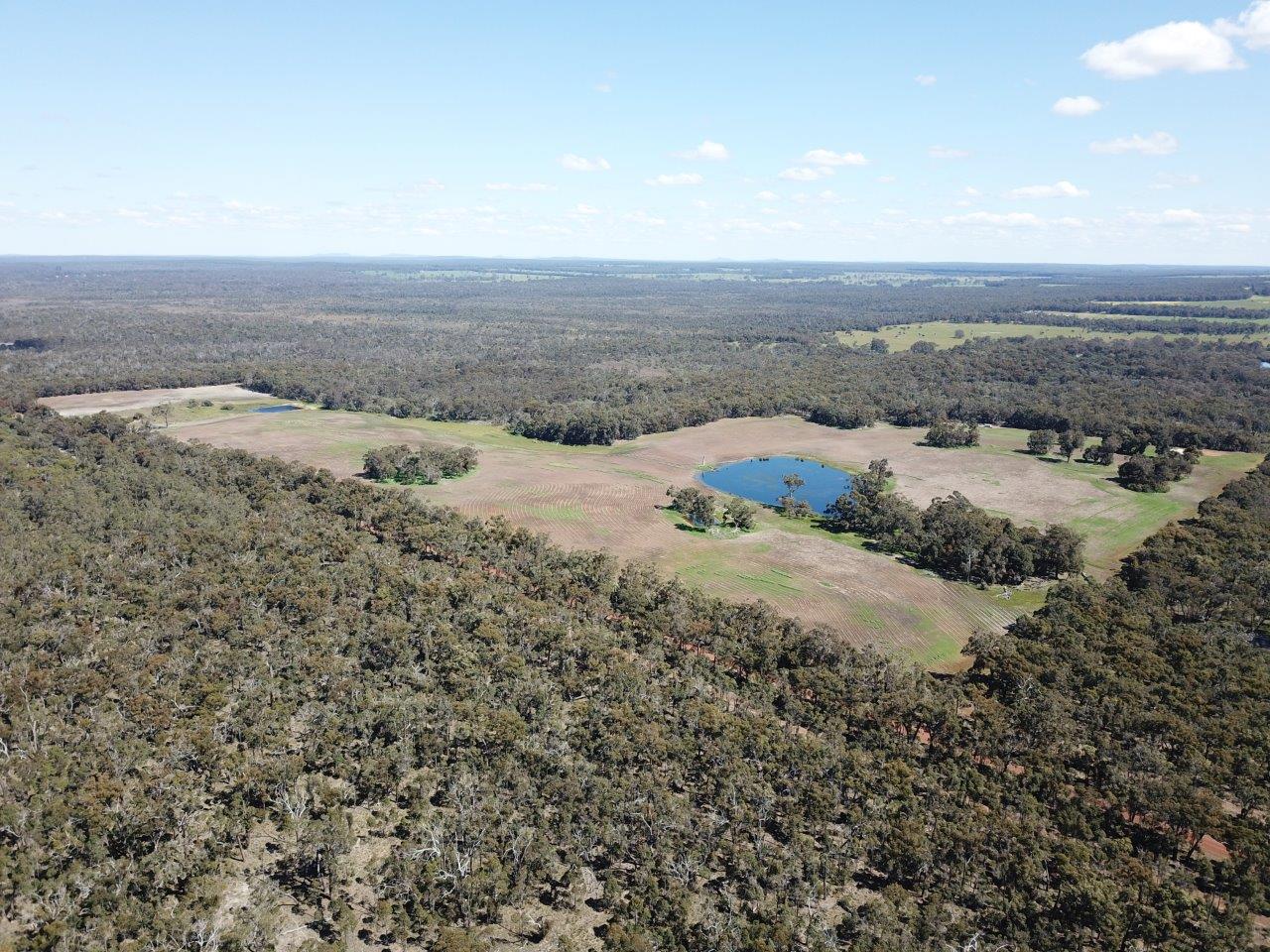 Aerial landscape shot of remnant bushland and cleared land about to be planted.