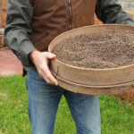 Man holding a tray of native Australian seeds