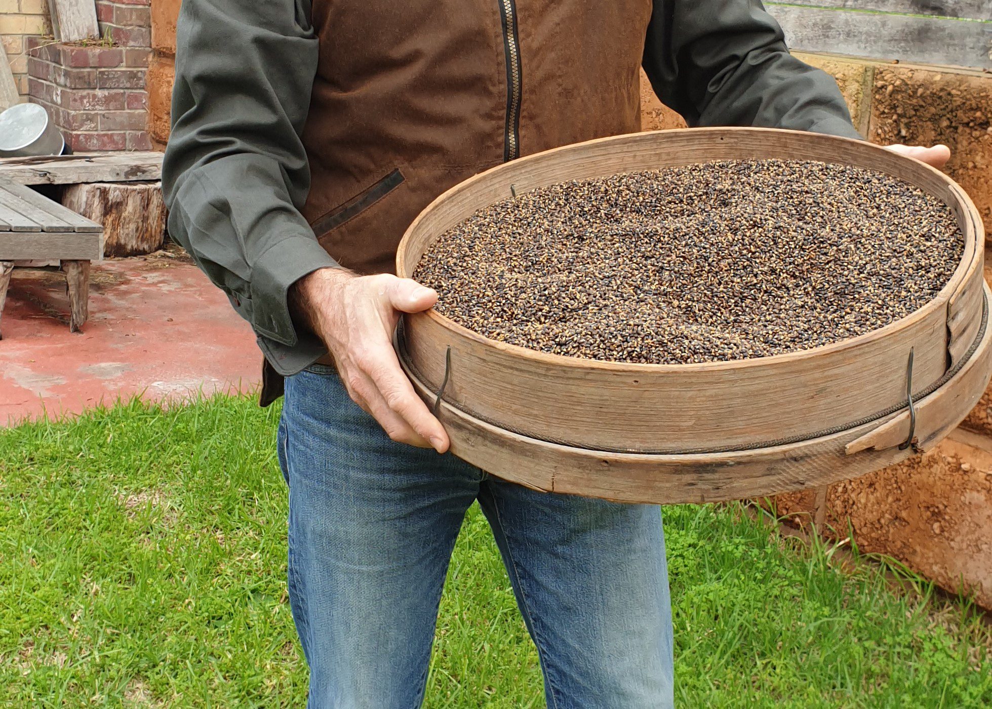 Man holding a tray of native Australian seeds