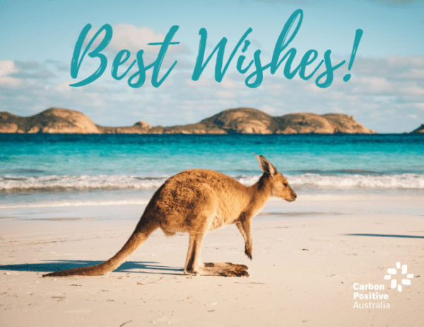 Best Wishes Kangaroo at the Beach eCard