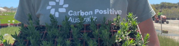 Donate A Tree - Business