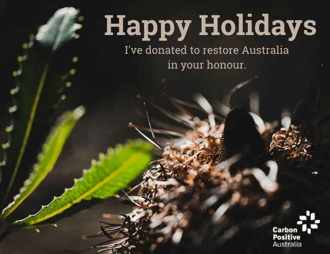 Happy_Holidays_Banksia