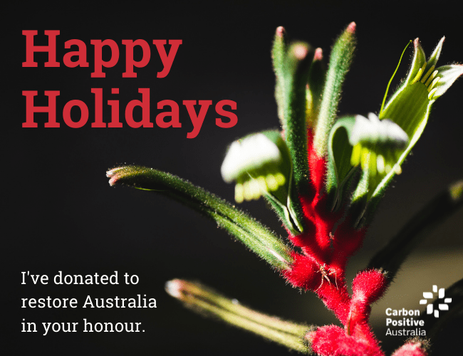 Happy_Holidays_kangarooPaw