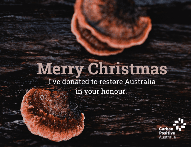 Merry_Christmas_Mushrooms