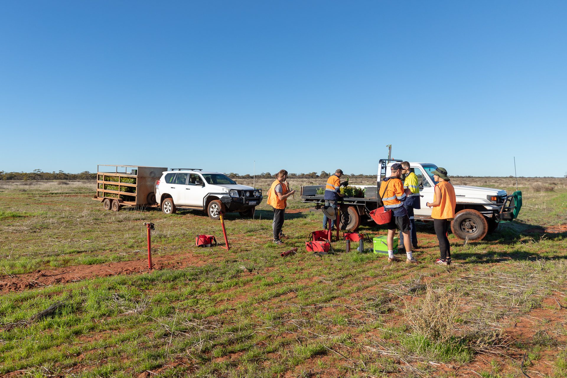 E-Scapes planting team getting ready to plant