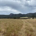 Bare paddock with ranges in the background