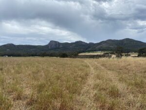 Bare paddock with ranges in the background