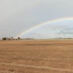 Paddock with lines ripped ready for planting. Rainbow in the background.