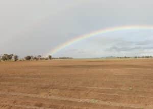 Paddock with lines ripped ready for planting. Rainbow in the background.