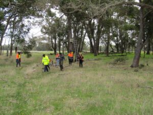 Mt Barker Noongar Rangers installing fauna habitats.