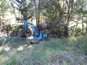 Blue excavator with tray raised in front of trees