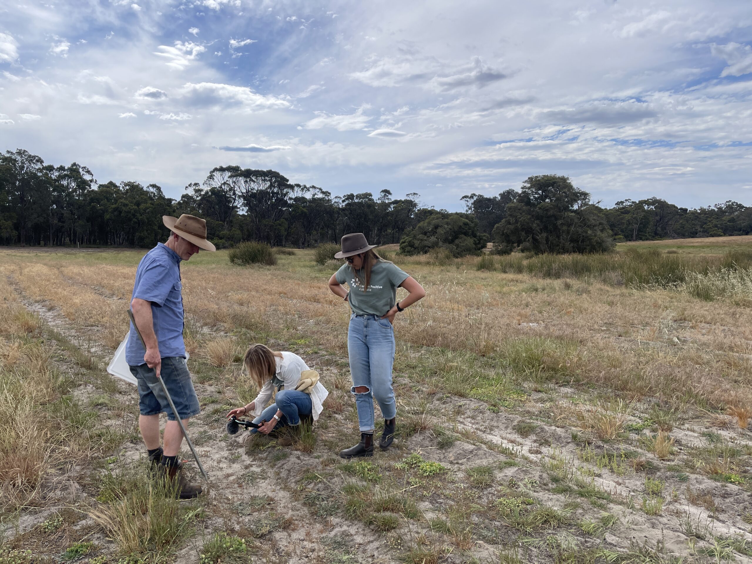 Three people in paddock with low lying grass. Two are standing, one is crouching down taking a photo of a seedling which has germinated in a planting row.