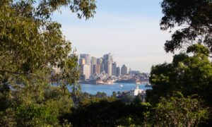 Trees surround view of Sydney Harbour