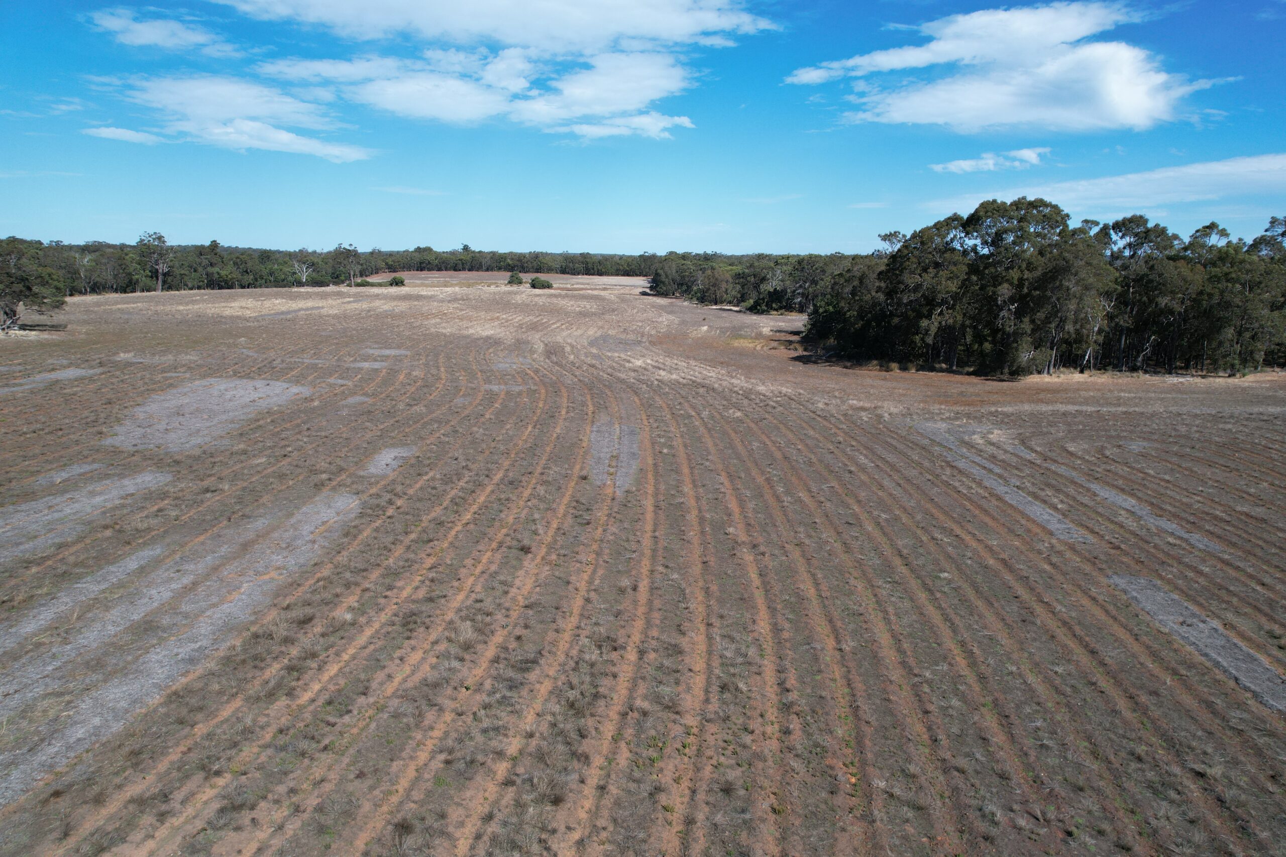 Aerial photo of dry paddock with planting rows
