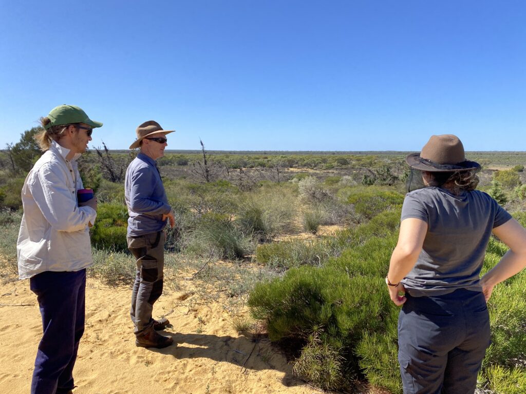 Three people looking out over a paddock