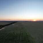 Sunset over a farm paddock