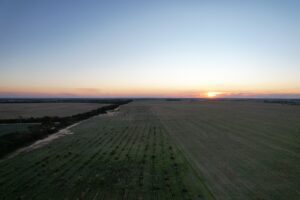 Sunset over a farm paddock