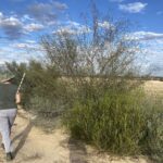 Person walking towards a row of shrubs