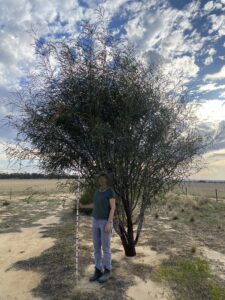 Woman standing with a white pole next to a tree