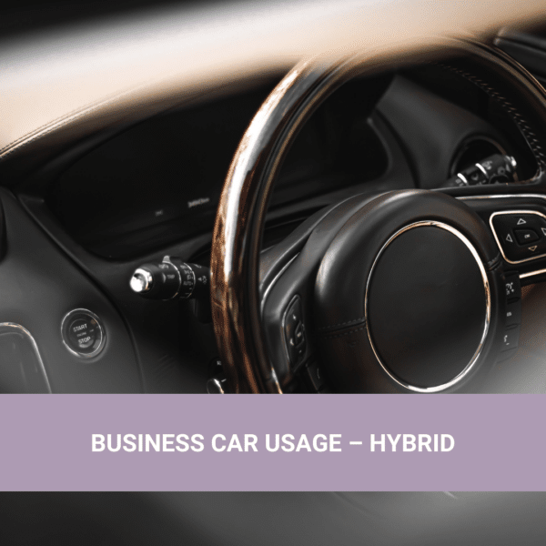 Offset Business Hybrid Car
